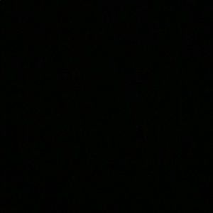 Meet your Posher, Jackson